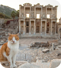 Ephesus, İzmir, Turkey